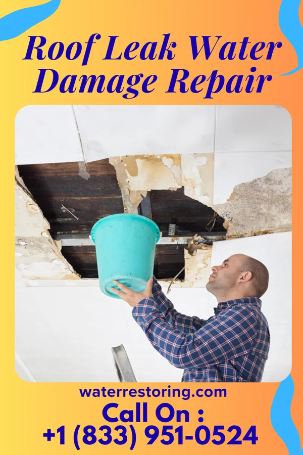 Roof Leak Water Damage Repair in Nevada, TX